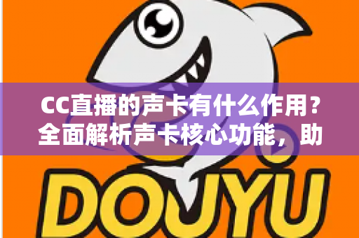 CC直播的声卡有什么作用？全面解析声卡核心功能，助你打造专业级直播音质