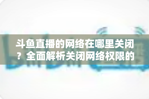 斗鱼直播的网络在哪里关闭？全面解析关闭网络权限的详细步骤与实用技巧