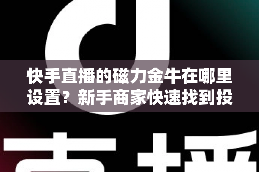 快手直播的磁力金牛在哪里设置？新手商家快速找到投放入口的完整实操指南