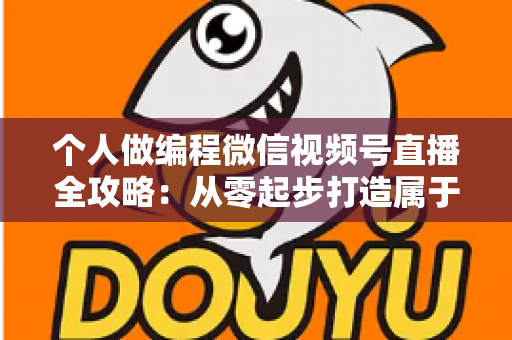 个人做编程微信视频号直播全攻略：从零起步打造属于你的技术影响力与变现之路