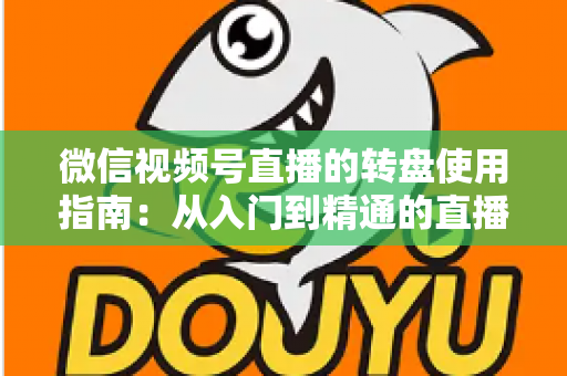 微信视频号直播的转盘使用指南：从入门到精通的直播间互动涨粉实战手册
