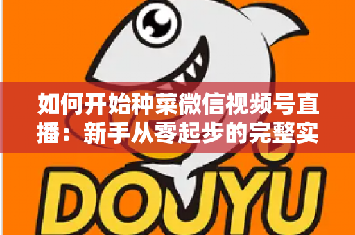 如何开始种菜微信视频号直播：新手从零起步的完整实战指南