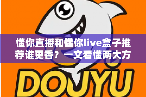 懂你直播和懂你live盒子推荐谁更香?一文看懂两大方案的真实差距 懂你直播和懂你live盒子推荐谁更香?一文看懂两大方案的真实差距